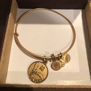 Alex & Ani Bracelet